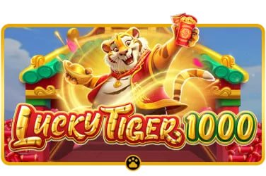 Esports match details and betting interface on pakbos